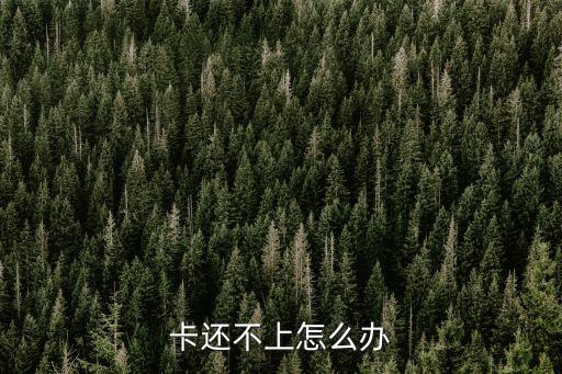 卡还不上怎么办