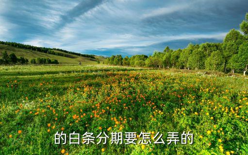 的白条分期要怎么弄的
