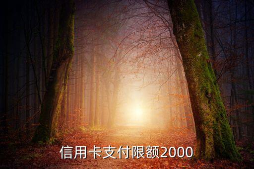 信用卡支付限额2000