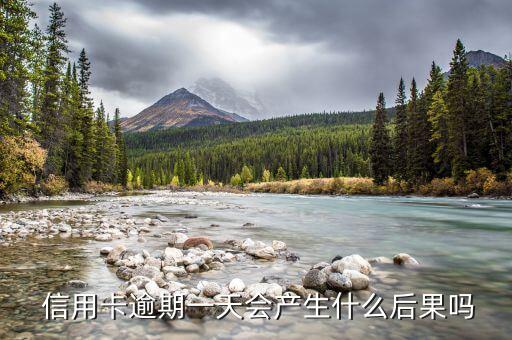  信用卡逾期一天会产生什么后果吗