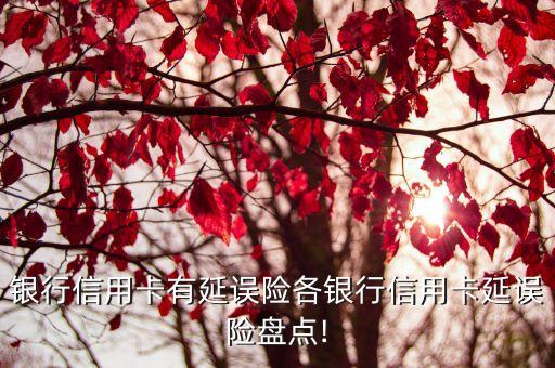 银行信用卡有延误险各银行信用卡延误险盘点!