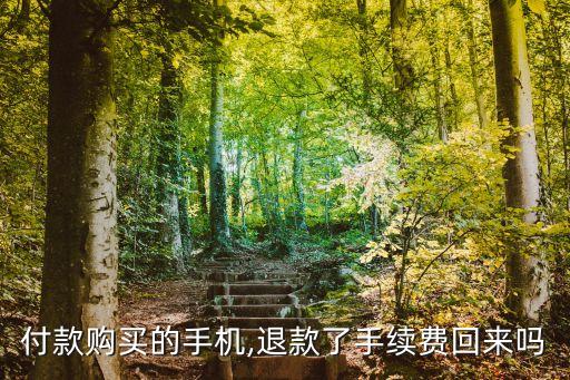 信用卡分期买东西然后退款,各大银行信用卡分期退款规则