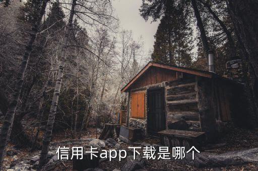 辽沈银行信用卡app,信用卡支付app有哪些?