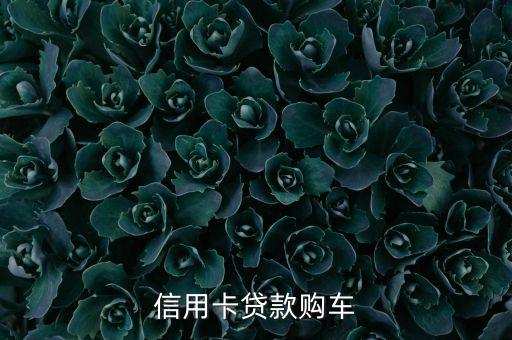 信用卡贷款购车