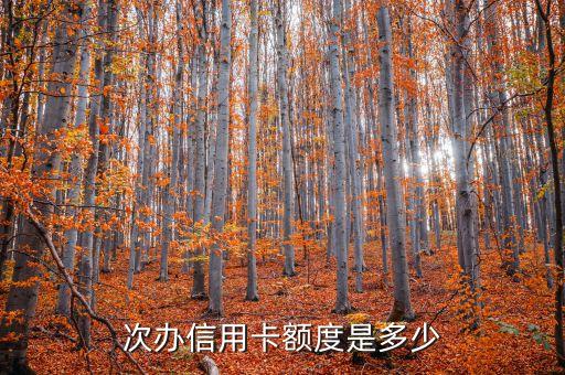 中国第一张信用卡的额度,中国第一张信用卡