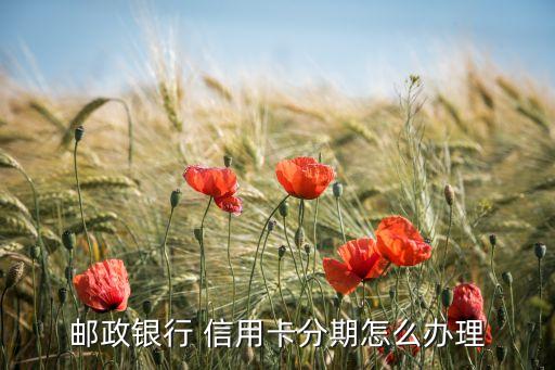 邮政银行 信用卡分期怎么办理