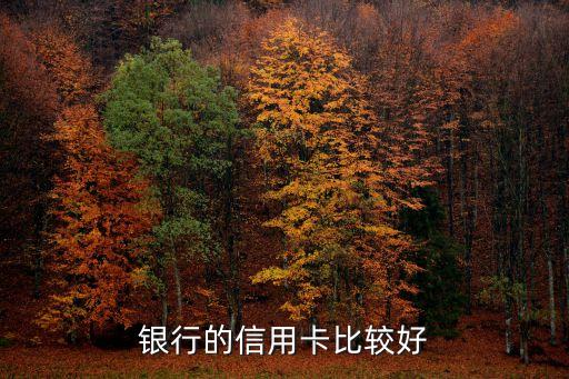 银行的信用卡比较好