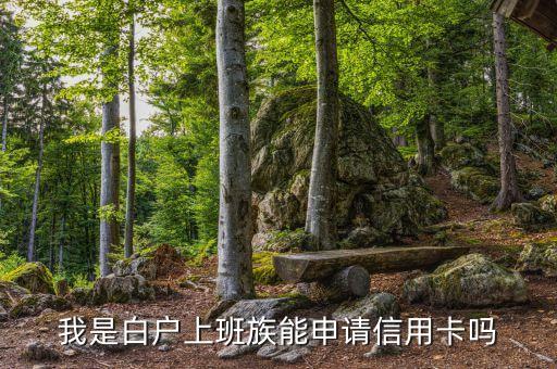 身份证白户能申请信用卡吗,有个人身份证的白户可以去银行贷款吗?