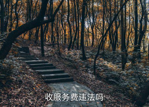 收服务费违法吗