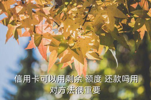 信用卡可以用剩余 额度 还款吗用对方法很重要