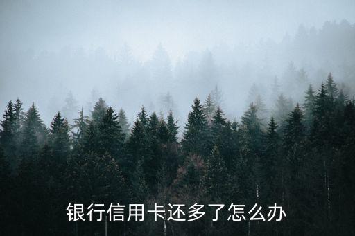 信用卡多还款怎么办手续费,信用卡超额还款怎么办