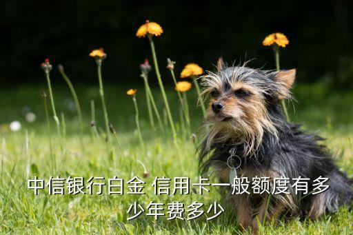  中信银行白金 信用卡一般额度有多少年费多少