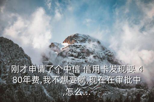 刚才申请了个中信 信用卡发现要 480年费,我不想要就,现在在审批中,怎么...