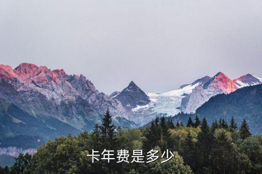 京东青海银行信用卡年费,在青海银行刷卡年费多少