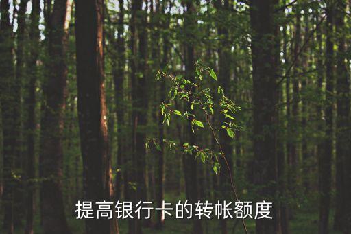 提高银行卡的转帐额度