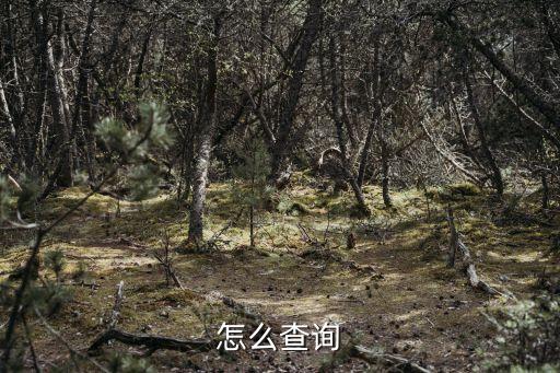 信用卡如何看逾期记录明细,如何查询信用卡的逾期记录