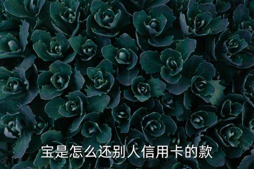 宝是怎么还别人信用卡的款