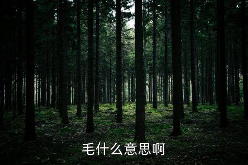 毛什么意思啊