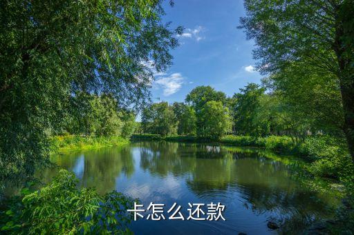 卡怎么还款