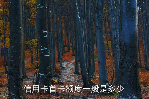 信用卡新卡额度规定,中国银监会信用卡额度规定