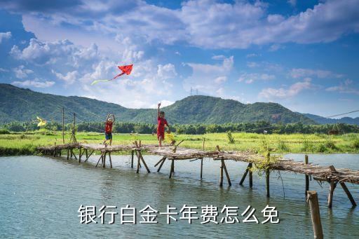 银行白金卡年费怎么免