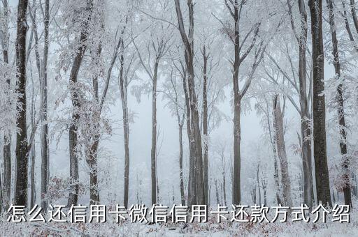 微信上怎么要求还款信用卡,微信支付和信用卡支付可以吗?