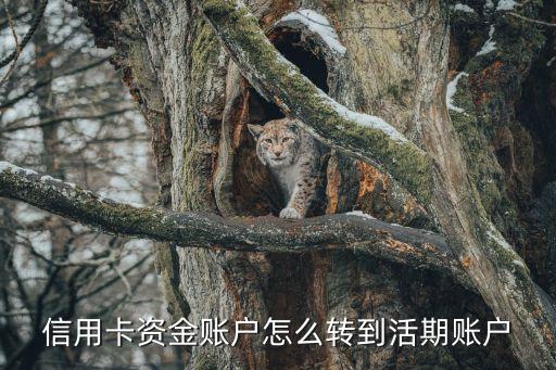 信用卡资金账户怎么转到活期账户
