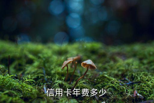 安徽农金银行信用卡没年费,农业银行信用卡app