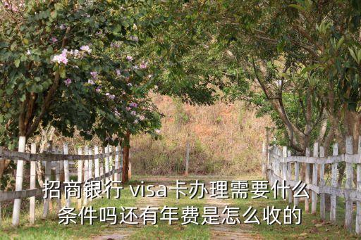 招商银行 visa卡办理需要什么 条件吗还有年费是怎么收的