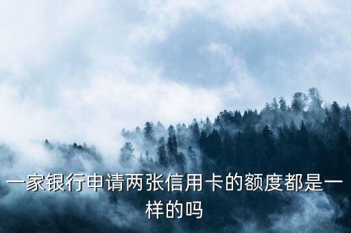 一家银行申请两张信用卡的额度都是一样的吗