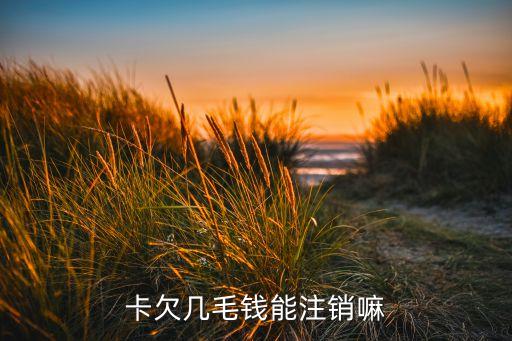 卡欠几毛钱能注销嘛