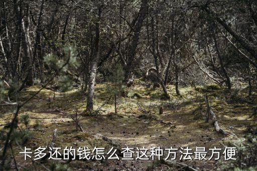 卡多还的钱怎么查这种方法最方便