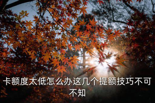 卡额度太低怎么办这几个提额技巧不可不知