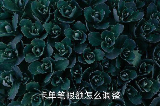 卡单笔限额怎么调整
