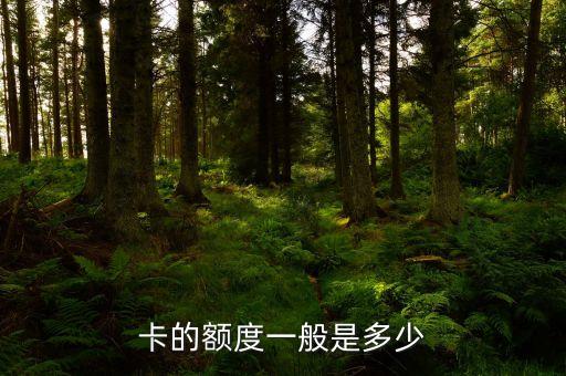 卡的额度一般是多少