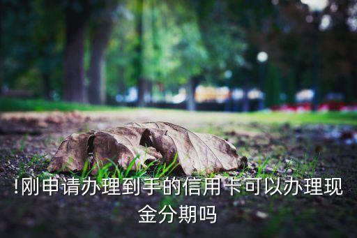 !刚申请办理到手的信用卡可以办理现金分期吗