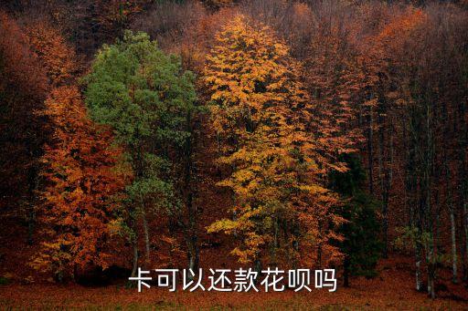 卡可以还款花呗吗