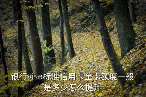 银行visa标准信用卡金卡额度一般是多少怎么提升