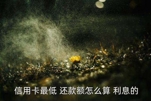  信用卡最低 还款额怎么算 利息的