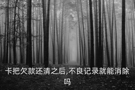 卡把欠款还清之后,不良记录就能消除吗