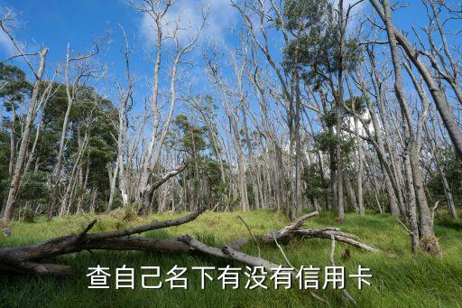 查自己名下有没有信用卡