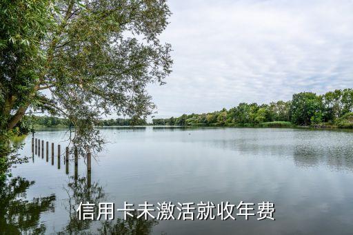 信用卡未激活就收年费