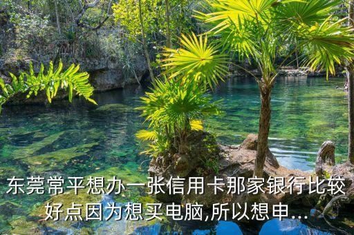 东莞常平想办一张信用卡那家银行比较好点因为想买电脑,所以想申...