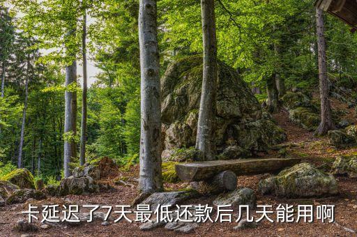 卡延迟了7天最低还款后几天能用啊