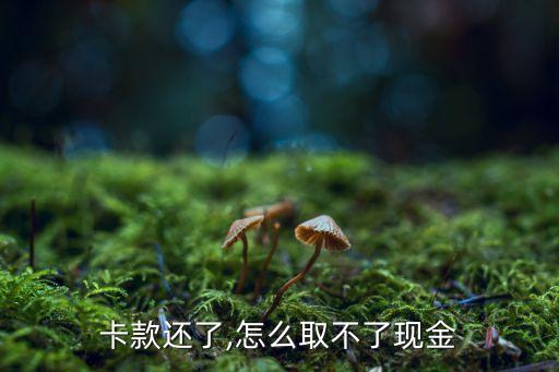 卡款还了,怎么取不了现金