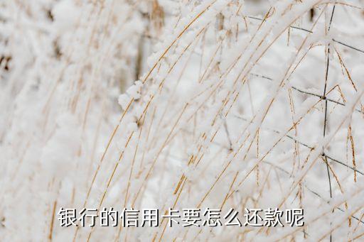 银行的信用卡要怎么还款呢