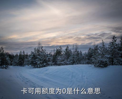 卡可用额度为0是什么意思