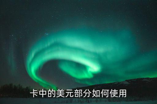 卡中的美元部分如何使用