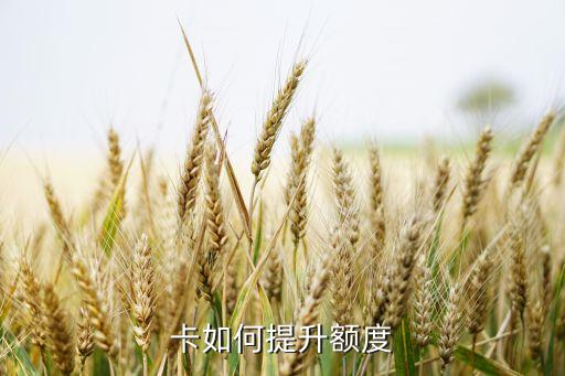 卡如何提升额度