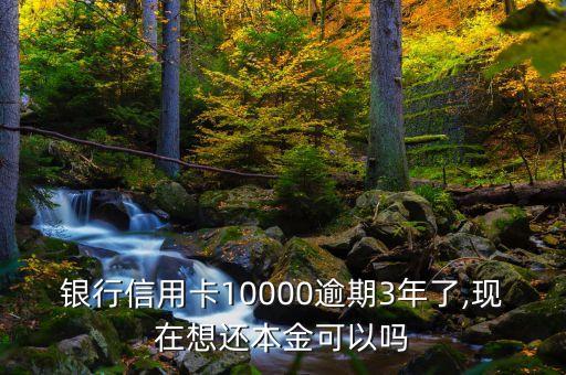 银行信用卡10000逾期3年了,现在想还本金可以吗